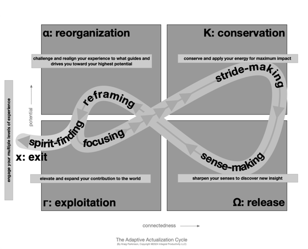 Adaptive Actualization Phases-1