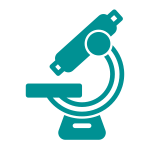 Microscope